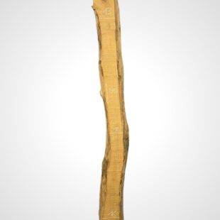 Ořech vlašský 65 mm 4