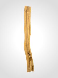 Ořech vlašský 65 mm 4
