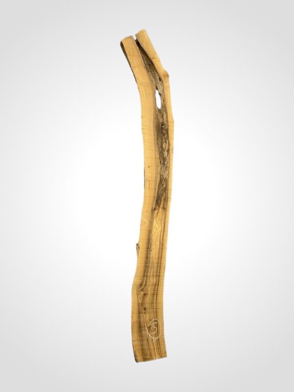 Ořech vlašský 65 mm 5