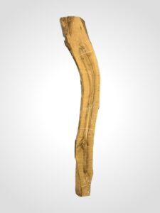 Ořech vlašský 65 mm 6