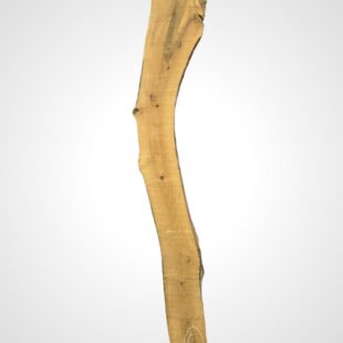 Ořech vlašský 65 mm 6