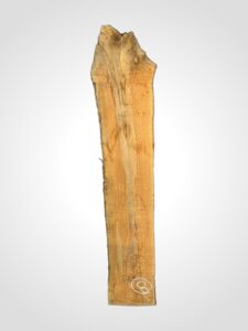 Jabloň 45 mm - 8