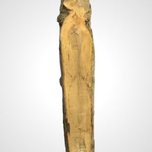 Jabloň 65 mm - 1