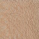 Lacewood - detail
