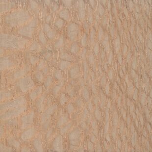 Lacewood - detail