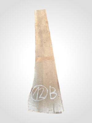 Ořech americký 50/52 mm - 12