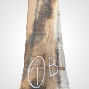 Ořech americký 50/52 mm - 1