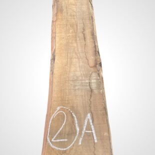 Ořech americký 50/52 mm - 2