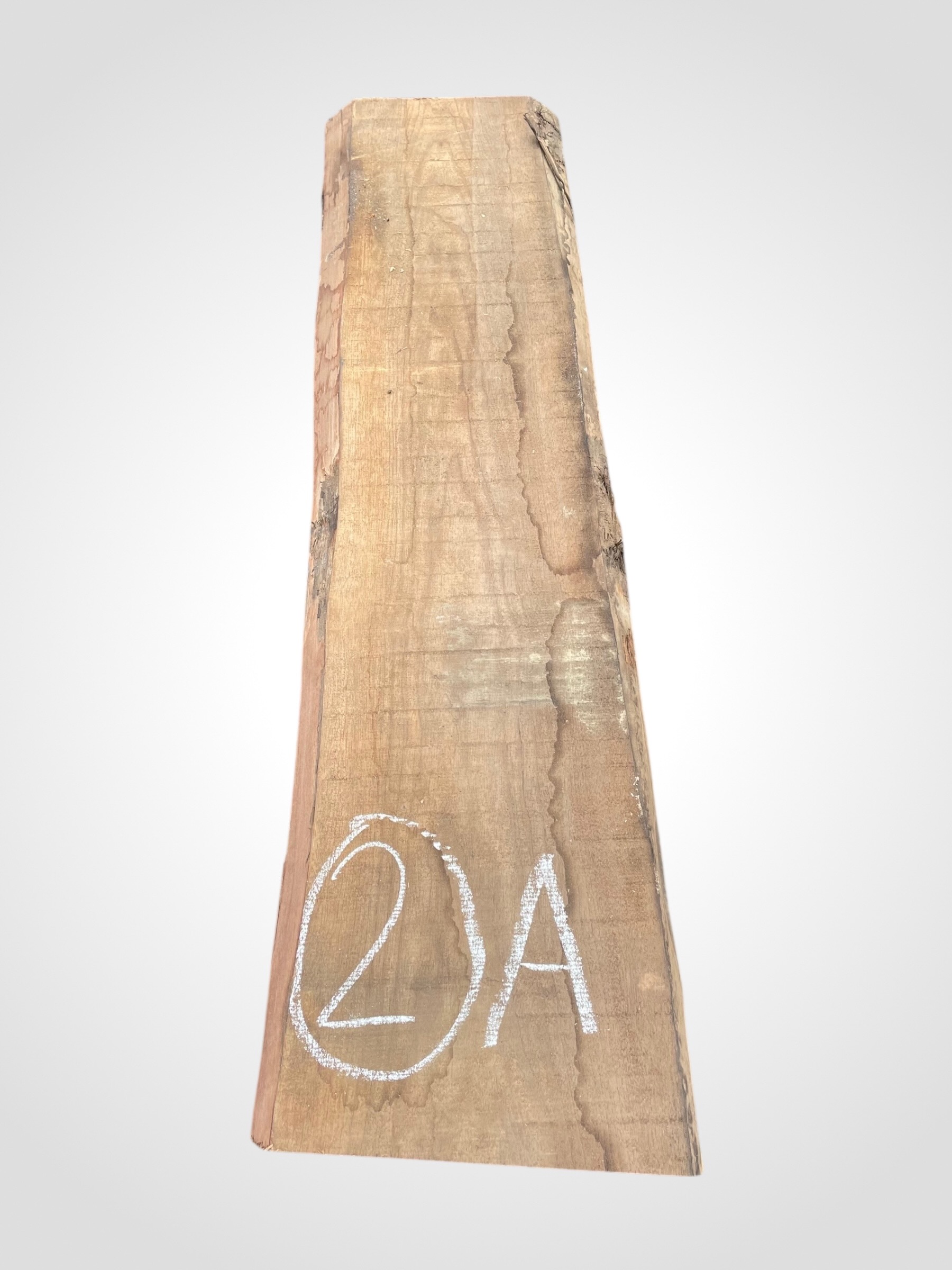 Ořech americký 50/52 mm - 2