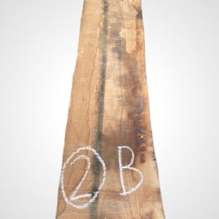 Ořech americký 50/52 mm - 2