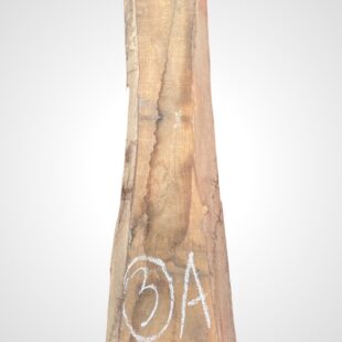 Ořech americký 50/52 mm - 3