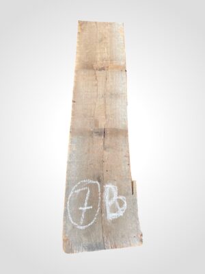 Ořech americký 50/52 mm - 7