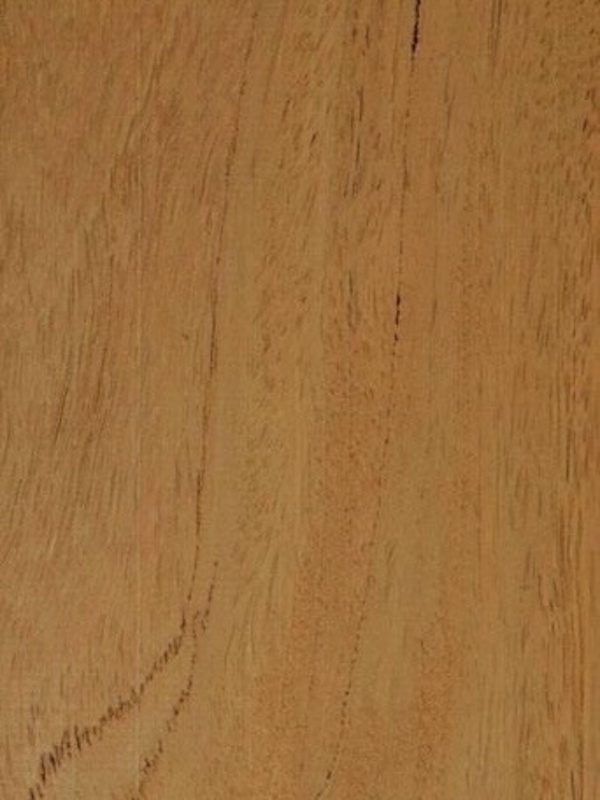 Tanimbuca - detail