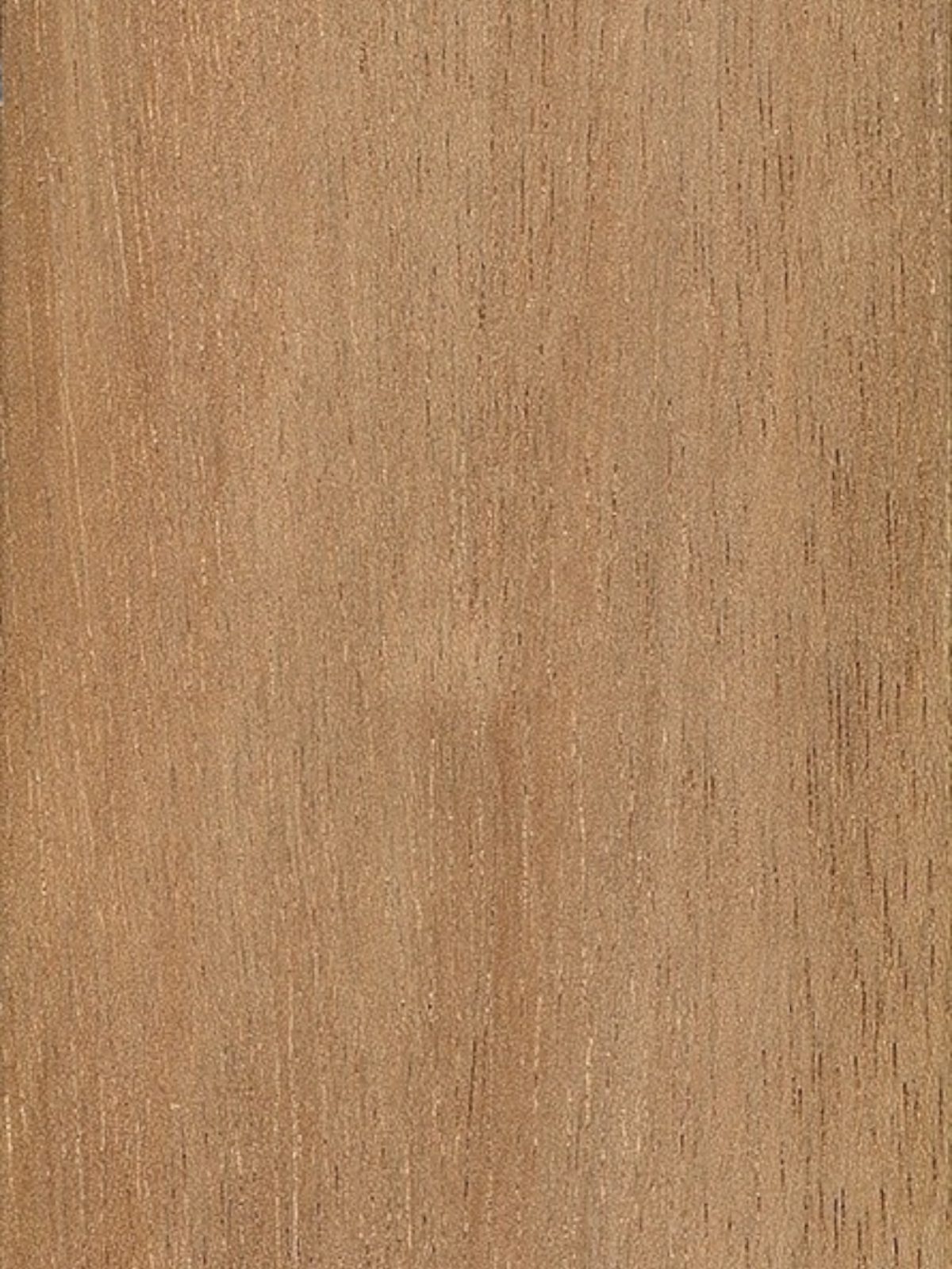 Bangkirai - detail