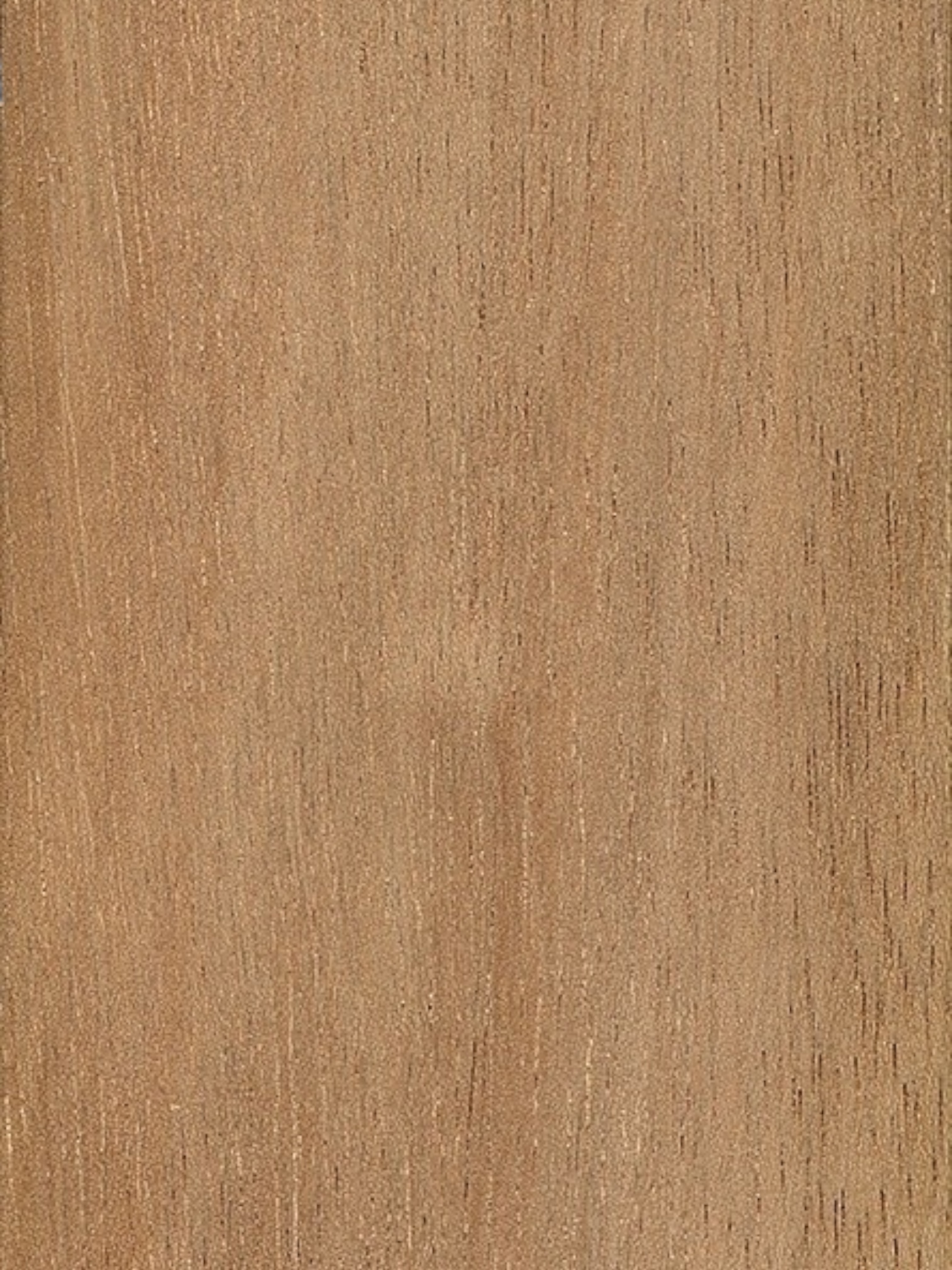 Bangkirai - detail
