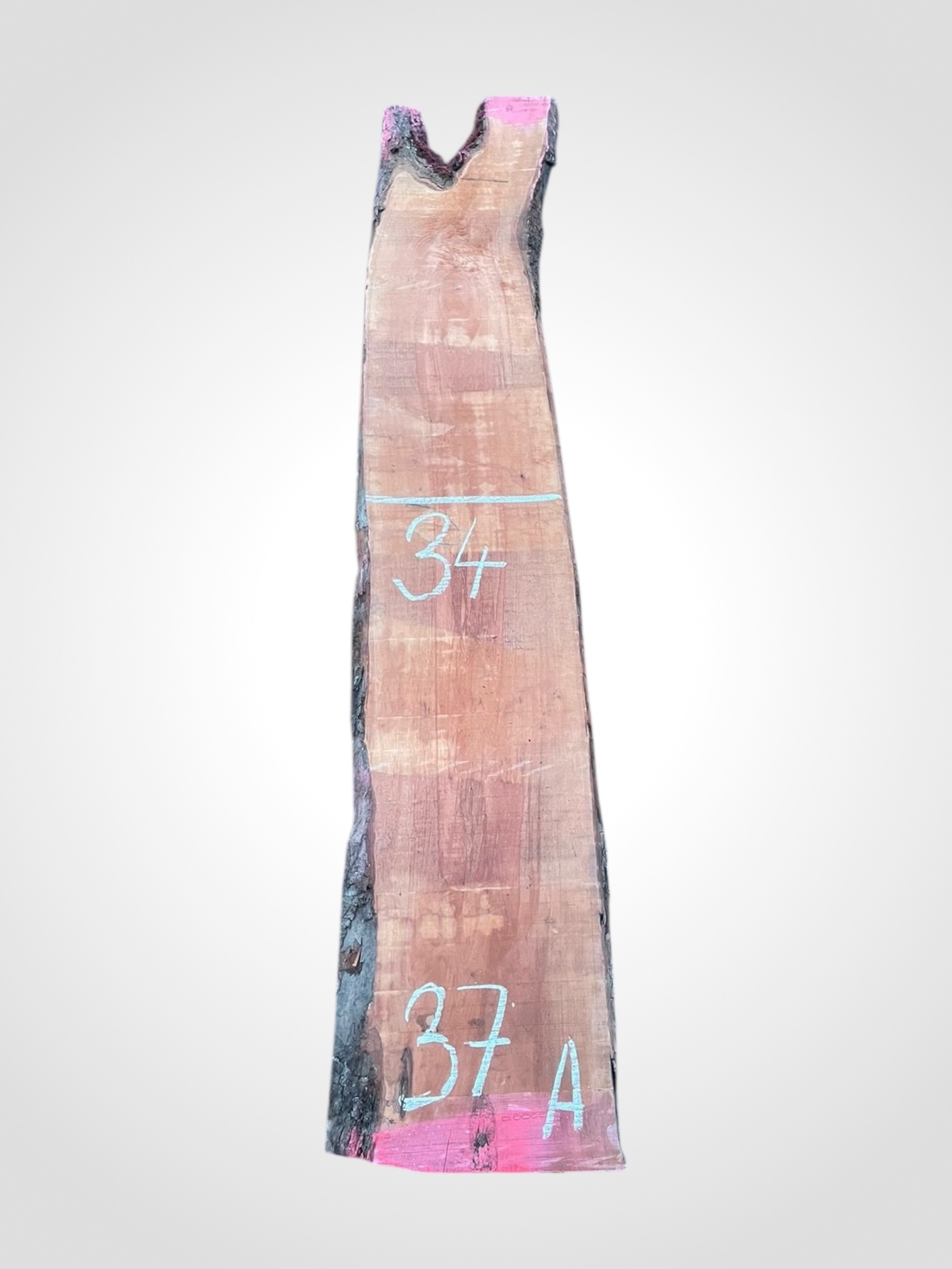 Hruska-parena-33-37a Hruška pařená 33 mm - 37