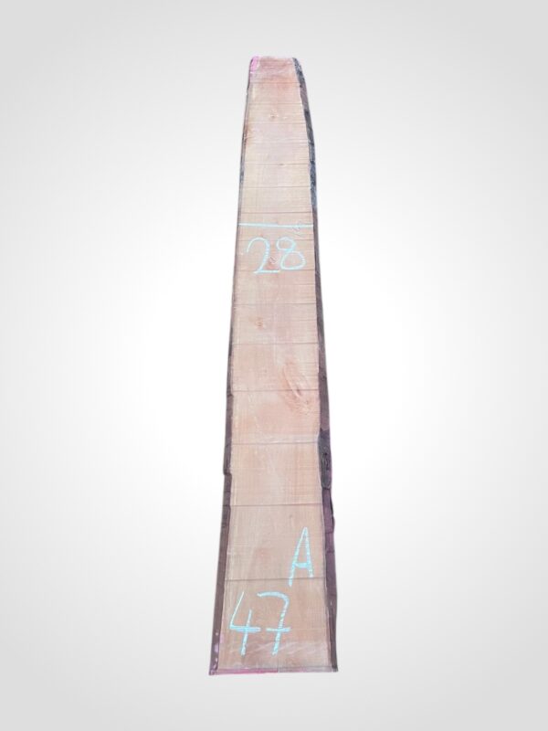 Hruška pařená 33 mm - 47