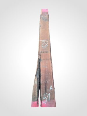 Hruška pařená 33 mm - 51