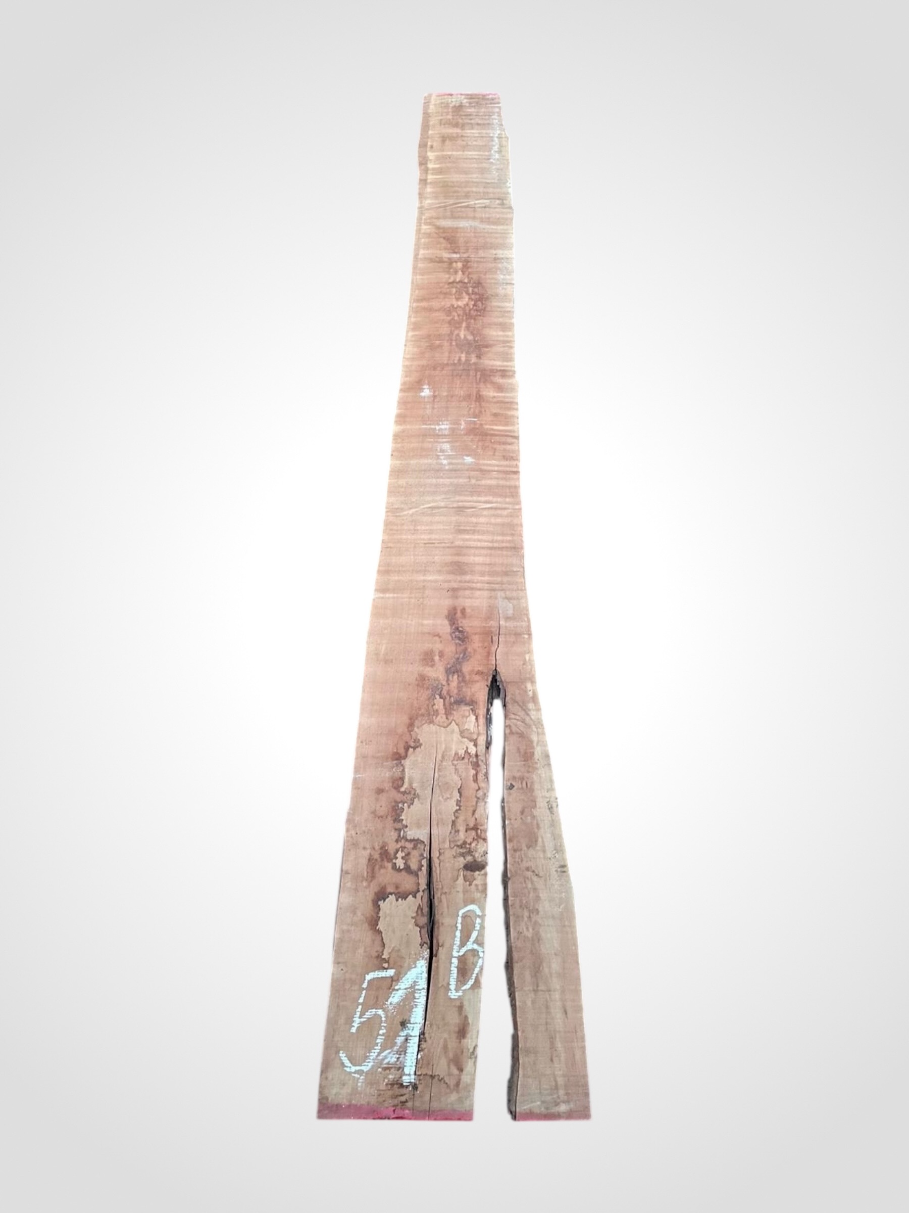 Hruska-parena-33-51b Hruška pařená 33 mm - 51