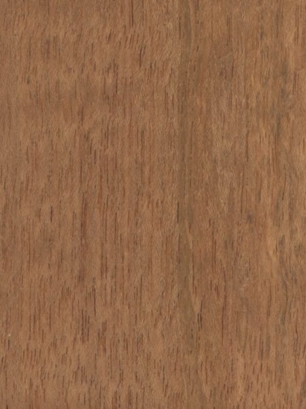 Jatoba - detail