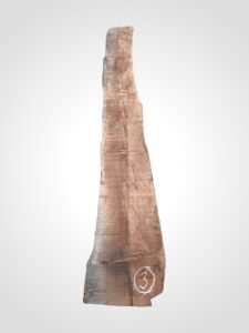 Ořech americký 52 mm, nesámovaný - 3