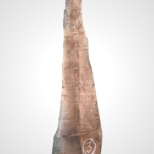 Ořech americký 52 mm, nesámovaný - 3