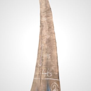 Ořech americký 62 mm, nesámovaný - 2