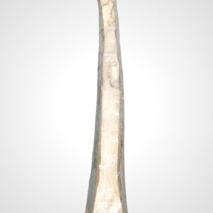 Ořech černý 30/32 mm - 13