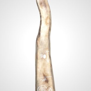 Ořech černý 30/32 mm - 15