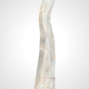 Ořech černý 30/32 mm - 15