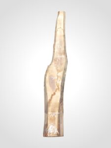 Ořech černý 30/32 mm - 16