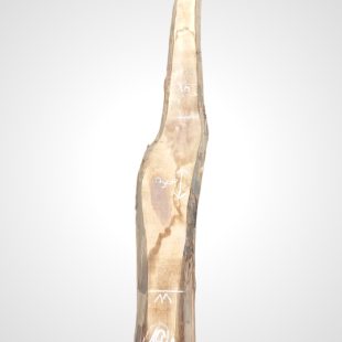 Ořech černý 30/32 mm - 16