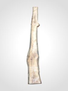 Ořech černý 30/32 mm - 21