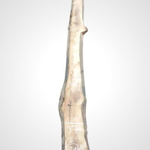 Ořech černý 30/32 mm - 21