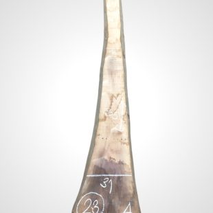 Ořech černý 30/32 mm - 23