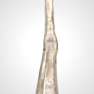 Ořech černý 30/32 mm - 24