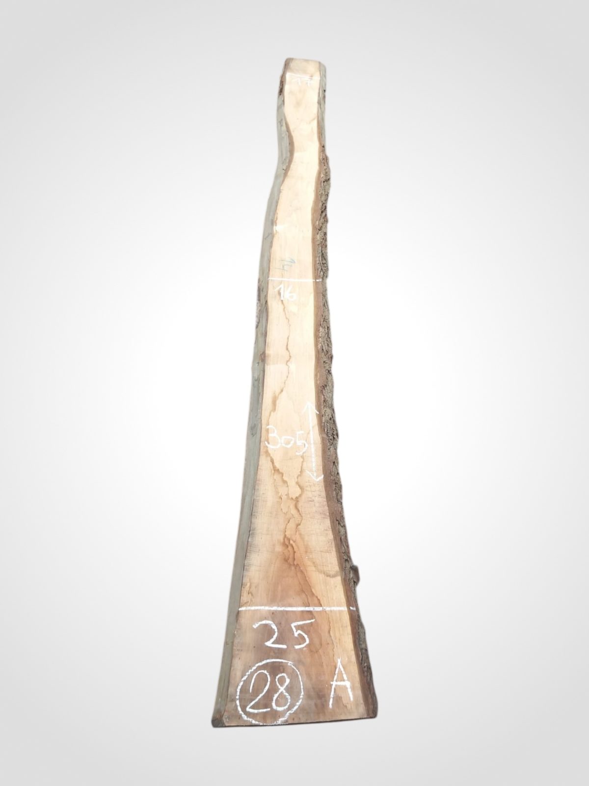 Ořech černý 30/32 mm - 28