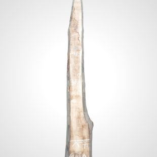 Ořech černý 30/32 mm - 33
