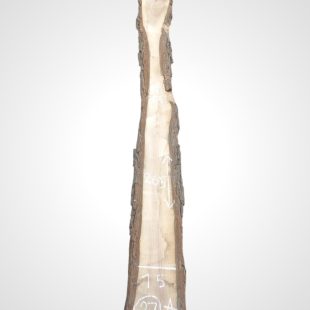 Ořech černý 30/32 mm - 37