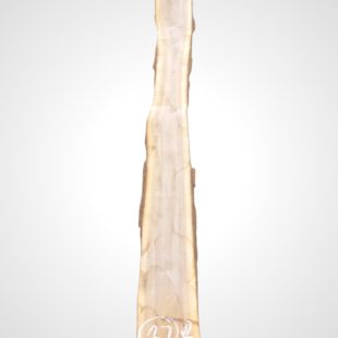 Ořech černý 30/32 mm - 37