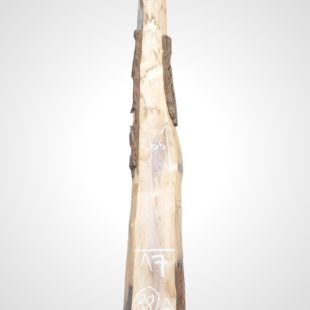 Ořech černý 30/32 mm - 38