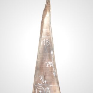 Ořech černý 30/32 mm - 7