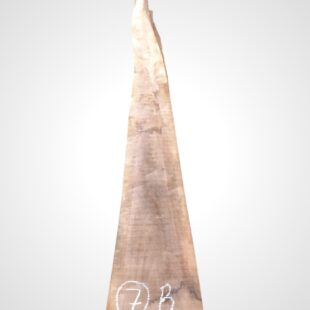 Ořech černý 30/32 mm - 7