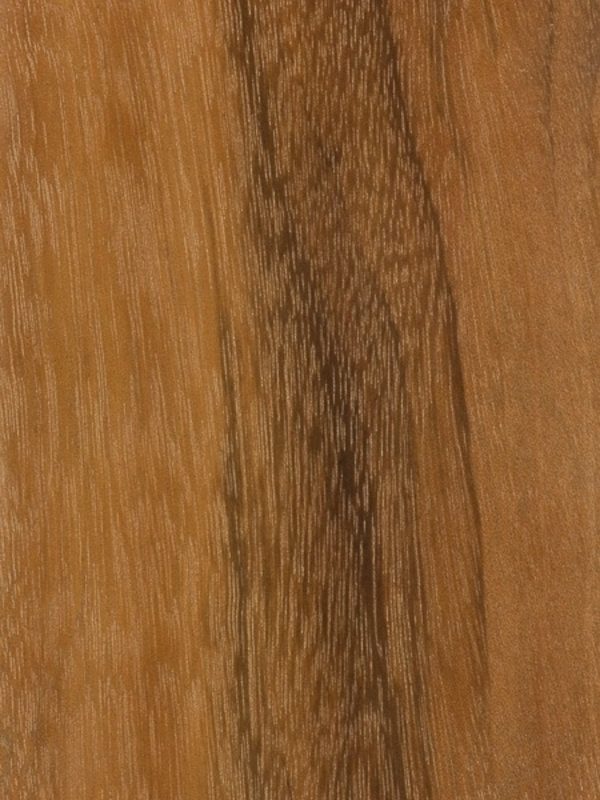 Tigerwood - detail