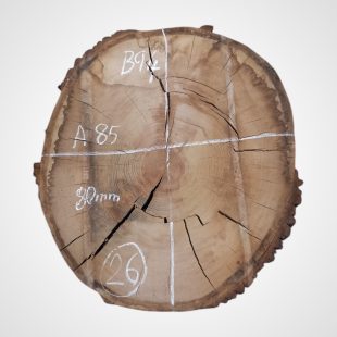 Dub 80 mm, koláč 26