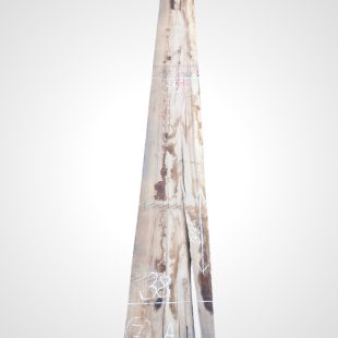 Hickory 52 mm - 7