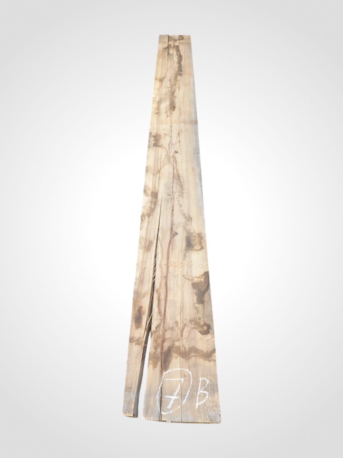 Hickory 52 mm - 7
