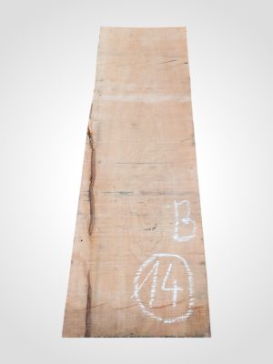 Javor očkový (Bird's Eye Maple) 52 mm - 14