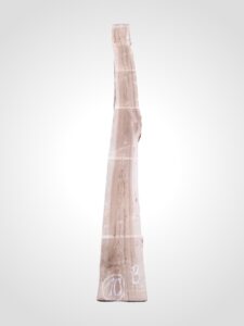 Jilm evropský 50/52 mm - 10