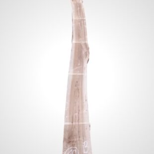Jilm evropský 50/52 mm - 10